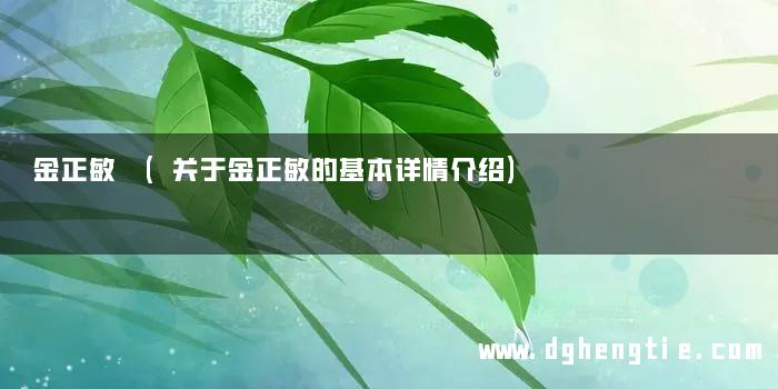 金正敏 (关于金正敏的基本详情介绍)